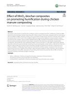 Effect of MnO2-biochar composites on promoting humification during chicken manure composting