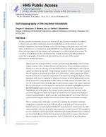 Gut biogeography of the bacterial microbiota