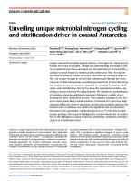 Unveiling unique microbial nitrogen cycling and nitrification driver in coastal Antarctica