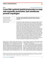 Cross-link assisted spatial proteomics to map sub-organelle proteomes and membrane protein topologies