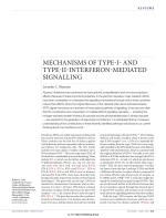 MECHANISMS OF TYPE-I- AND TYPE-II-INTERFERON-MEDIATED SIGNALLING