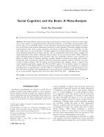 Social Cognition and the Brain: A Meta-Analysis