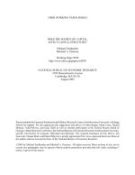 DOES THE SOURCE OF CAPITAL AFFECT CAPITAL STRUCTURE?