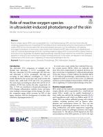 Role of reactive oxygen species in ultraviolet-induced photodamage of the skin