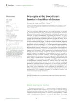 Microglia at the blood brain barrier in health and disease