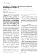 Stoichiometric coupling of brain glucose metabolism and glutamatergic neuronal activity