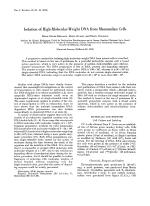 Isolation of High-Molecular-Weight DNA from Mammalian Cells