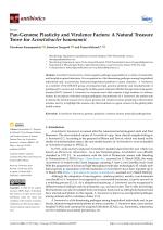 Pan-Genome Plasticity and Virulence Factors: A Natural Treasure Trove for Acinetobacter baumannii