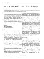 Partial-Volume Effect in PET Tumor Imaging