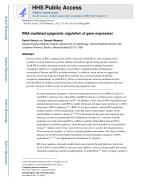 RNA-mediated epigenetic regulation of gene expression