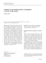 Feedback on household electricity consumption: a tool for saving energy?