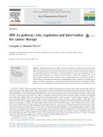 HIF-1α pathway: role, regulation and intervention for cancer therapy