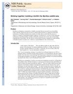 Sticking together: building a biofilm the Bacillus subtilis way