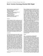 Brca1 Controls Homology-Directed DNA Repair