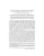 THE ANTIGEN-SPECIFIC, MAJOR HISTOCOMPATIBILITY COMPLEX-RESTRICTED RECEPTOR ON T CELLS VI. An Antibody to a Receptor Allotype