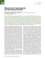 Mitochondria in Neuroplasticity and Neurological Disorders