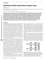 Cytokinesis-block micronucleus cytome assay