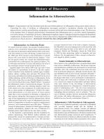 Inflammation in Atherosclerosis