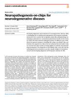 Neuropathogenesis-on-chips for neurodegenerative diseases