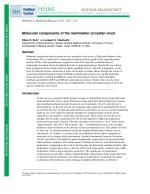 Molecular components of the mammalian circadian clock