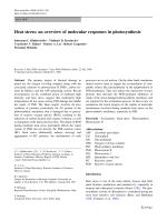 Heat stress: an overview of molecular responses in photosynthesis