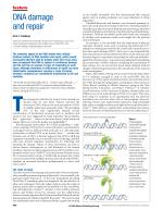 DNA damage and repair