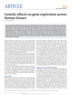 Genetic effects on gene expression across human tissues