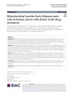 Mitochondrial transfer from Adipose stem cells to breast cancer cells drives multi-drug resistance