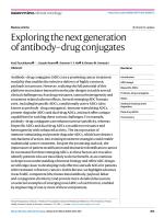 Exploring the next generation of antibody-drug conjugates