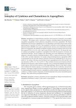Interplay of Cytokines and Chemokines in Aspergillosis