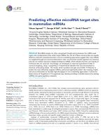 Predicting effective microRNA target sites in mammalian mRNAs