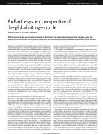 An Earth-system perspective of the global nitrogen cycle