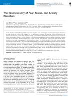 The Neurocircuitry of Fear, Stress, and Anxiety Disorders