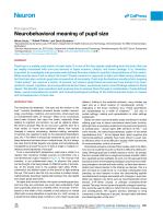 Neurobehavioral meaning of pupil size