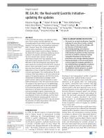 RE.GA.IN.: the Real-world Gastritis Initiative—updating the updates