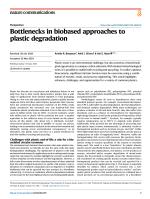 Bottlenecks in biobased approaches to plastic degradation
