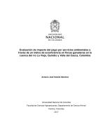 Evaluación de impacto del pago por servicios ambientales a través de un índice de ecoeficiencia en fincas ganaderas en la cuenca del río La Vieja, Quindío y Valle del Cauca, Colombia