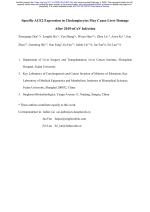 Specific ACE2 Expression in Cholangiocytes May Cause Liver Damage After 2019-nCoV Infection