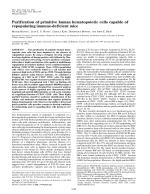 Purification of primitive human hematopoietic cells capable of repopulating immune-deficient mice