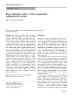 Rapid biological synthesis of silver nanoparticles using plant leaf extracts