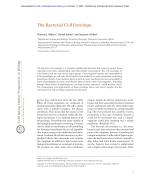 The Bacterial Cell Envelope