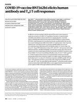 COVID-19 vaccine BNT162b1 elicits human antibody and TH1 T cell responses