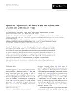 Spread of Chytridiomycosis Has Caused the Rapid Global Decline and Extinction of Frogs