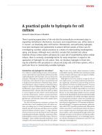 A practical guide to hydrogels for cell culture