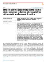 Efficient bubble/precipitate traffic enables stable seawater reduction electrocatalysis at industrial-level current densities