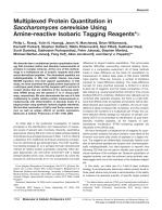 Multiplexed Protein Quantitation in Saccharomyces cerevisiae Using Amine-reactive Isobaric Tagging Reagents