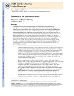Emotion and the motivational brain