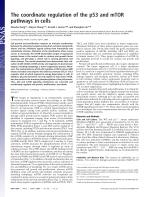 The coordinate regulation of the p53 and mTOR pathways in cells