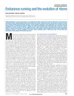 Endurance running and the evolution of Homo