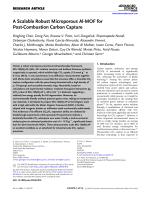 A Scalable Robust Microporous Al-MOF for Post-Combustion Carbon Capture